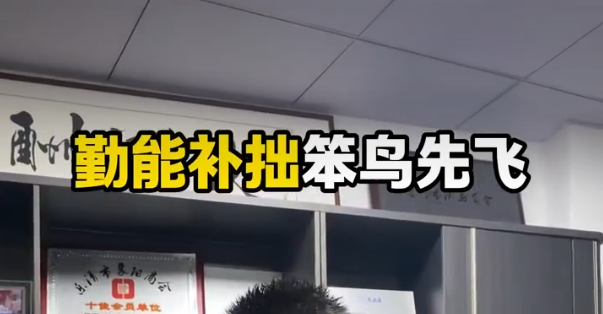 勤能补拙笨鸟先飞