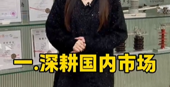 2025年电力产品生产公司可以有以下几种布局